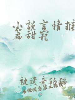 小说言情推荐短篇甜宠