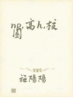 np,高h,校园