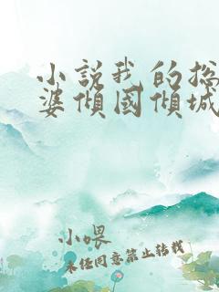 小说我的总裁老婆倾国倾城在线阅读