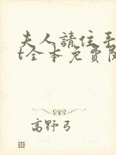 夫人请住手txt全本免费阅读