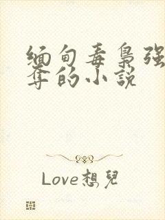 缅甸毒枭强取豪夺的小说