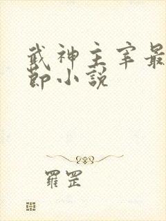 武神主宰最新章节小说