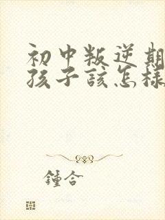 初中叛逆期的男孩子该怎样去沟通教育