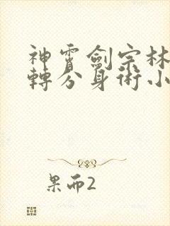 神霄剑宗林枫九转分身术小说