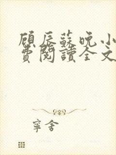 顾辰苏晚小说免费阅读全文最新章节