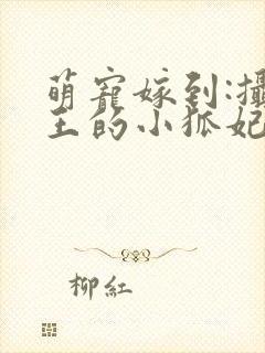 萌宠嫁到:摄政王的小狐妃