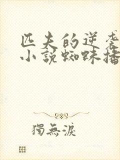 匹夫的逆袭有声小说蜘蛛播讲