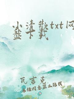 小清欢txt网盘下载