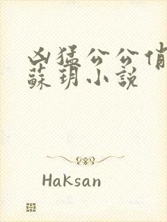 凶猛公公俏儿媳苏玥小说