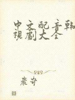 中文配音韩剧电视剧大全