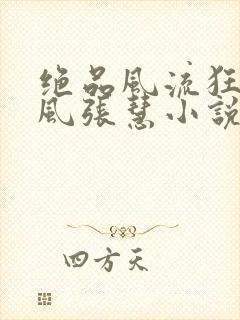 绝品风流狂医林风张慧小说电子书