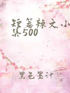 短篇辣文小说合集500