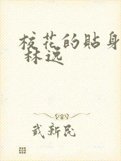 校花的贴身高手 林逸