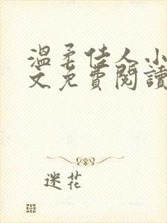 温柔佳人小说全文免费阅读最新章节