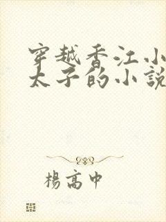 穿越香江小豪门太子的小说