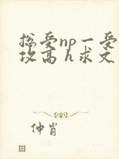 总受np一受多攻高 h求文