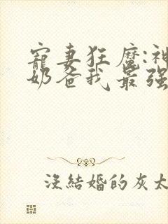 宠妻狂魔:神级奶爸我最强无弹窗