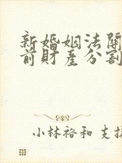 新婚姻法关于婚前财产分割的规定