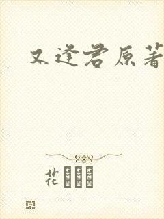 又逢君原著小说