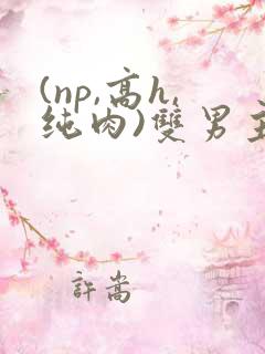 (np,高h,纯肉)双男主