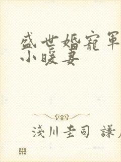 盛世婚宠军少的小暖妻