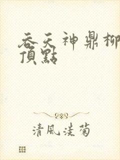 吞天神鼎柳无邪顶点