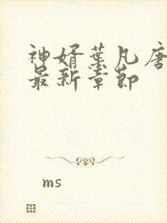 神婿叶凡唐若雪最新章节