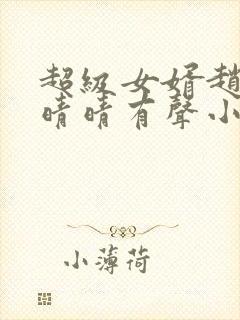 超级女婿赵旭李晴晴有声小说