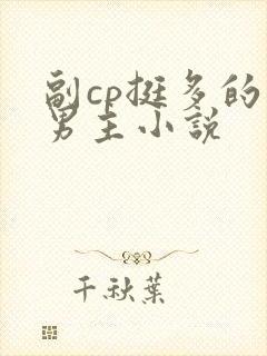 副cp挺多的双男主小说