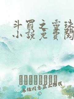 斗罗之灵珠神剑小说免费阅读免费