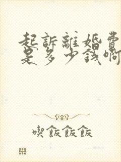 起诉离婚费一般是多少钱啊