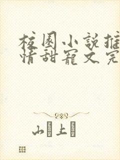 校园小说推荐言情甜宠文完结