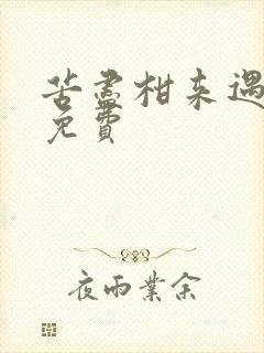 苦尽柑来遇见你免费