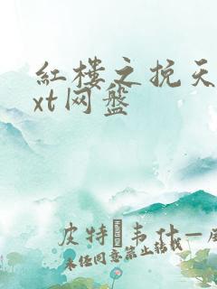 红楼之挽天倾txt网盘