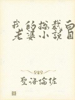 我的总裁白富美老婆小说目录章节