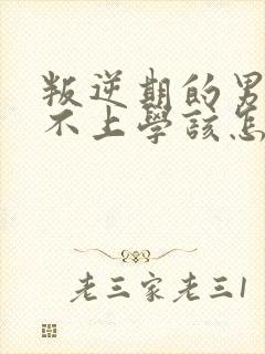 叛逆期的男孩子不上学该怎样去沟通教育