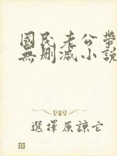 国民老公带回家无删减小说