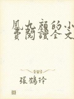 凤九颜的小说免费阅读全文无弹窗