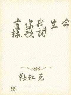 有你我生命不一样歌词