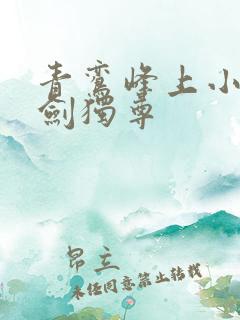 青鸾峰上小说一剑独尊