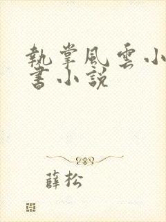 执掌风云小说听书小说