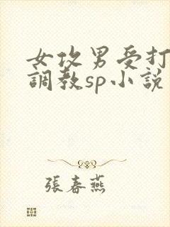 女攻男受打屁股调教sp小说