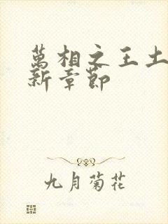 万相之王土豆最新章节