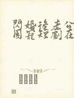 闪婚后老公全家团宠短剧在线观看