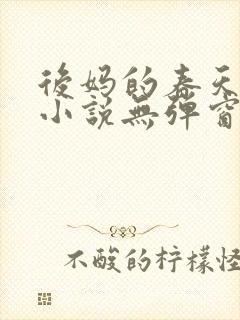 后妈的春天王磊小说无弹窗