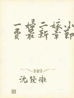 一妇二嫁小说免费最新章节