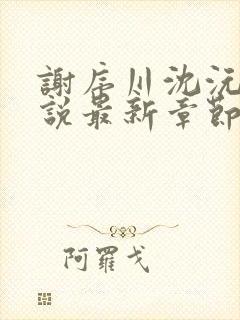 谢序川沈沅珠小说最新章节免费阅读