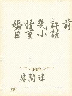 婚情几许前夫请自重小说