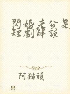 闪婚老公是总裁短剧解说