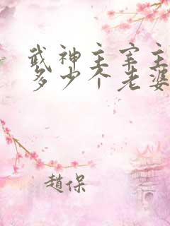 武神主宰主角有多少个老婆